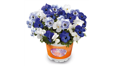 Gartencenter Rehner