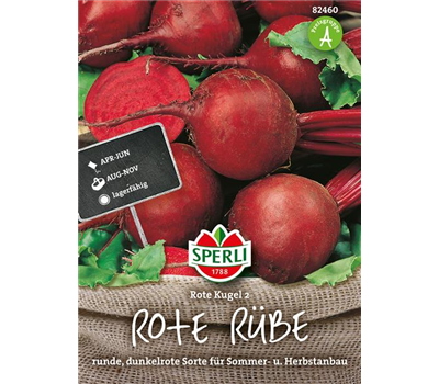 Rote Beete 'Rote Kugel 2'