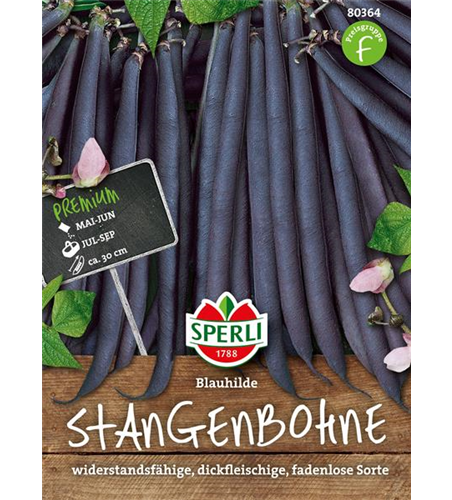 Stangen-Bohne 'Blauhilde'