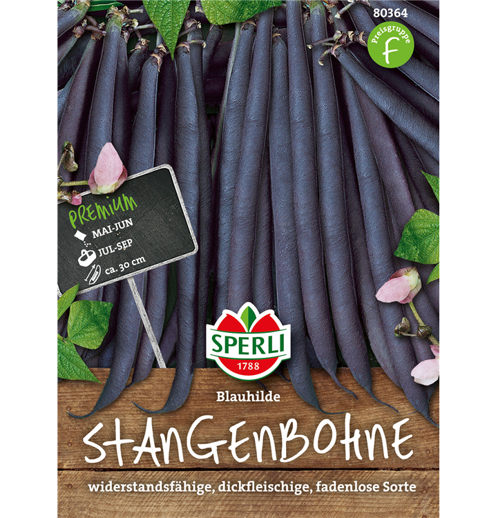 Phaseolus vulgaris var. vulgaris 'Blauhilde'