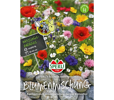 Blumenmischung 'Schnelle Blütenpracht'
