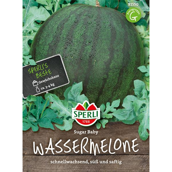 Kompakte Wassermelone 'Sugar Baby'