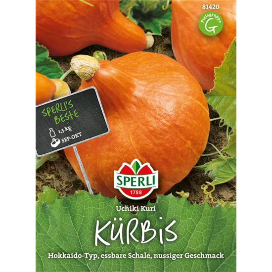 Kürbis 'Uchiki Kuri'