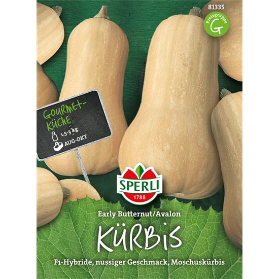 Butternuss-Kürbis 'Avalon'