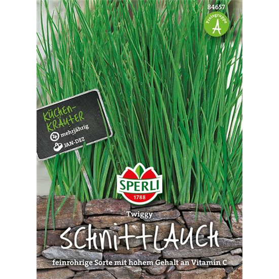 Schnittlauch 'Twiggy'