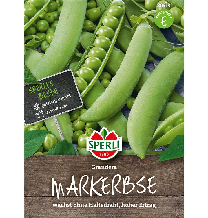 Pisum sativum 'Grandera'