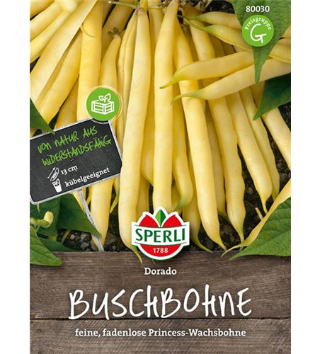 Buschbohne 'Dorado' Buschbohne 'Dorado'