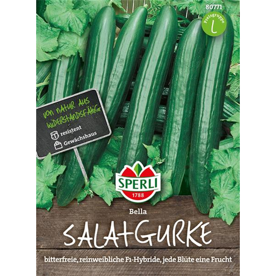 Salatgurke 'Bella'