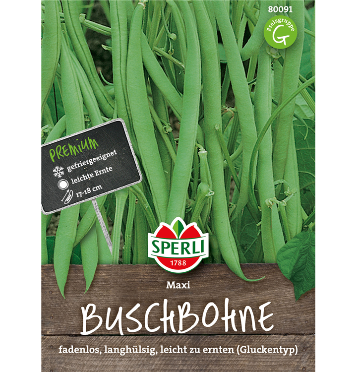 Phaseolus vulgaris var. nanus 'Maxi'