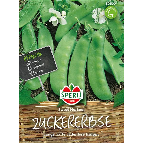Zuckererbse 'Sweet Horizon'