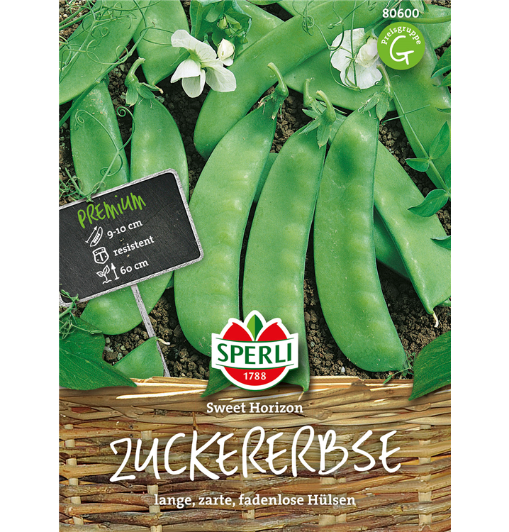 Pisum sativum 'Sweet Horizon'