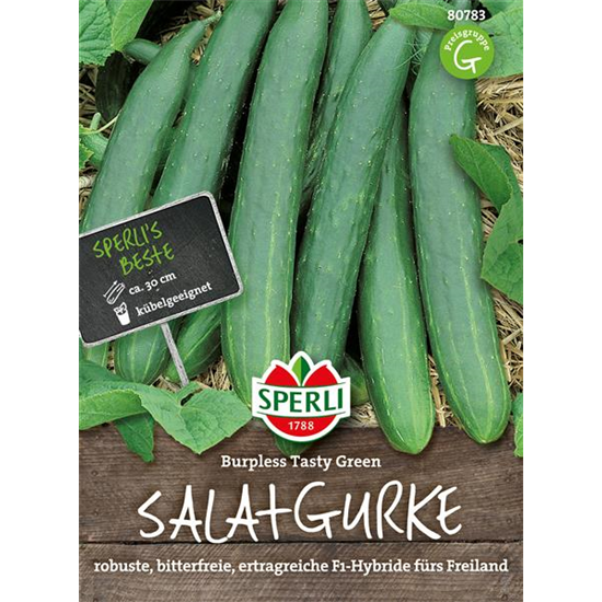 Gurke 'Burpless Tasty Green F1'