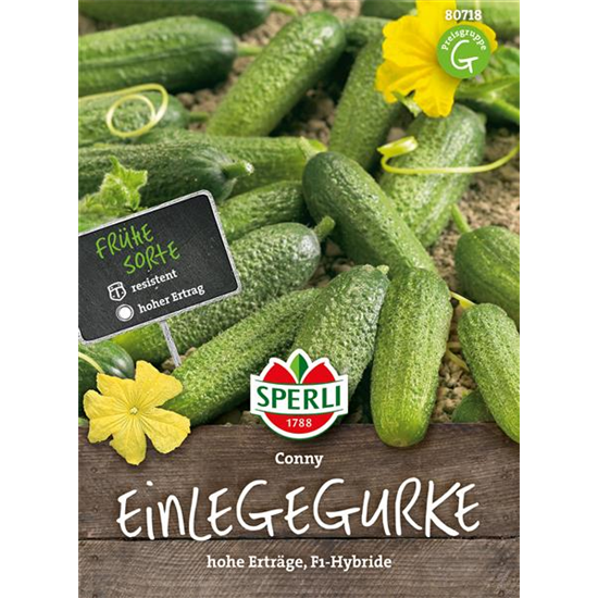 Einlegegurke 'Conny F1'