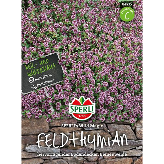 Feldthymian 'Wild Magic'