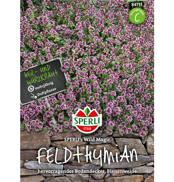 Thymus serpyllum 'Wild Magic'
