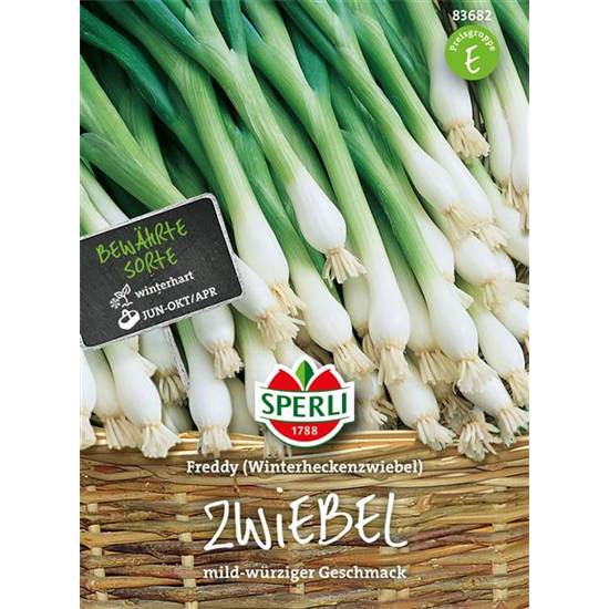 Winterzwiebel 'Freddy'