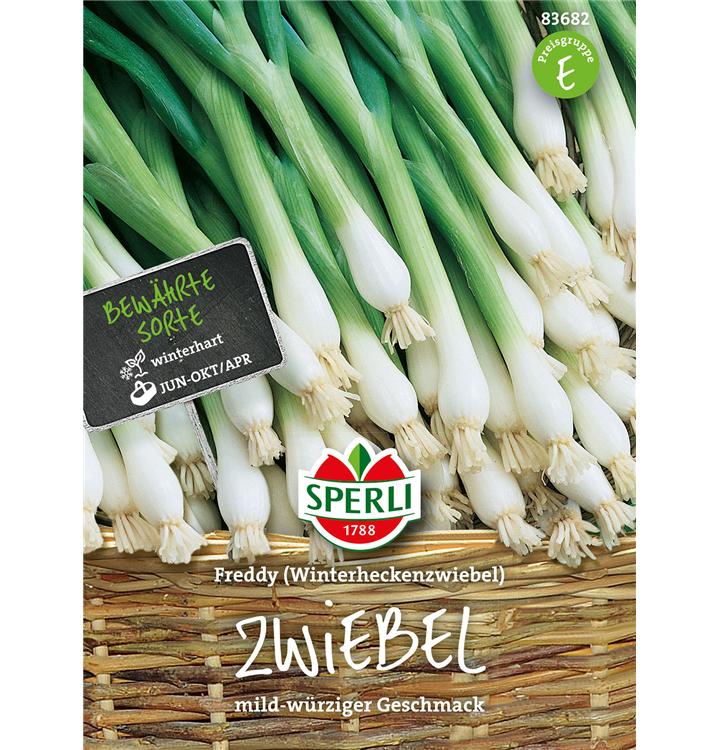 Allium fistulosum 'Freddy'