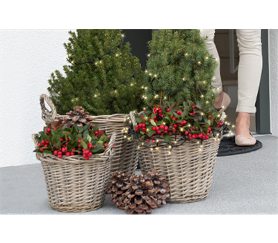 Terrasse & Balkon im Dezember