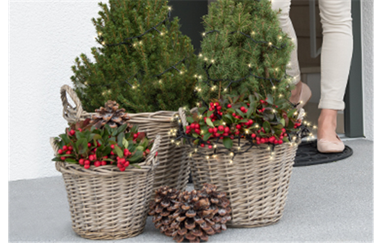 Terrasse & Balkon im Dezember