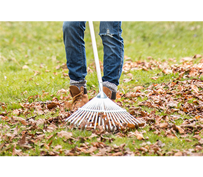 Allgemeine Gartenarbeit im Juli