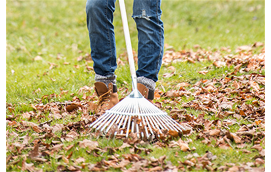 Allgemeine Gartenarbeit im Juli