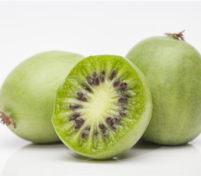 Mini-Kiwi