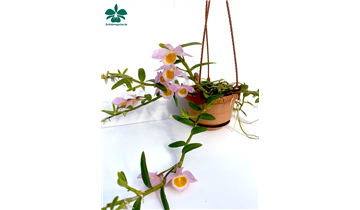 Gartencenter Rehner