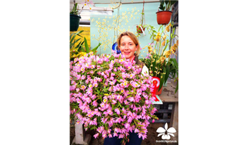 Gartencenter Rehner