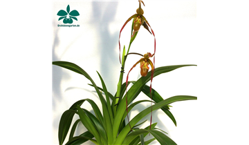 Gartencenter Rehner