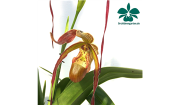 Gartencenter Rehner