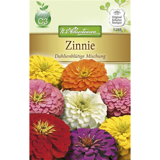Dahlienblütige Zinnie-Samen