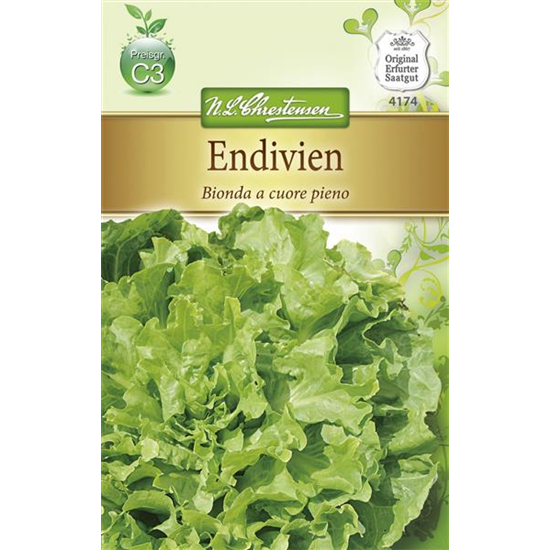 Endiviensamen 'Bionda a cuore pieno' Endiviensamen 'Bionda a cuore pieno'