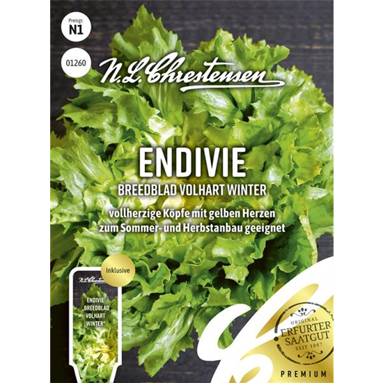 Endiviensamen 'Breedblad Volhart Winter' Endiviensamen 'Breedblad Volhart Winter'