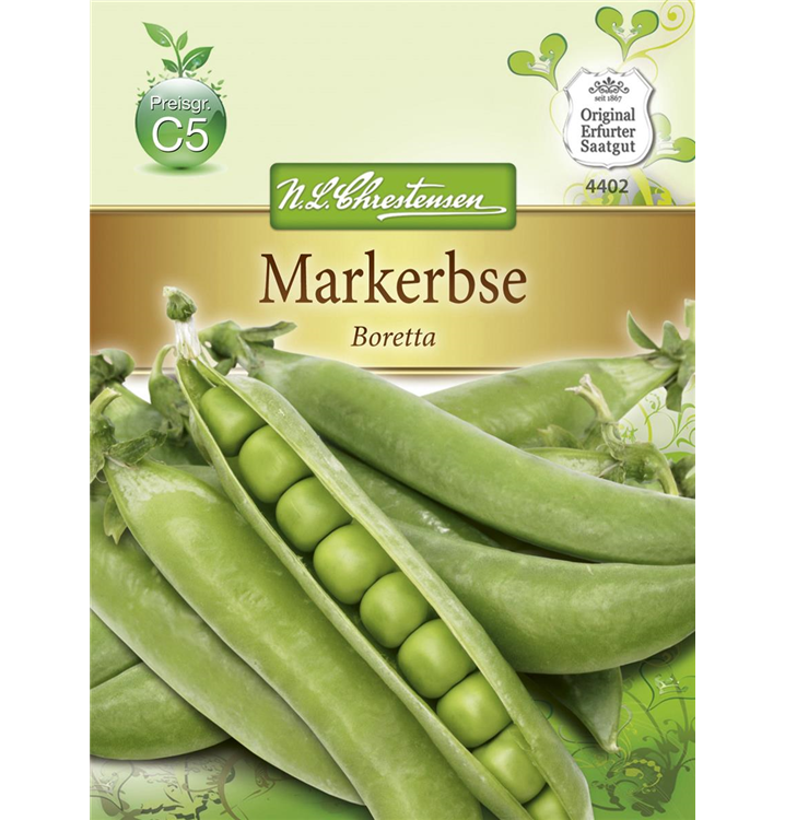 Pisum sativum 'Boretta'