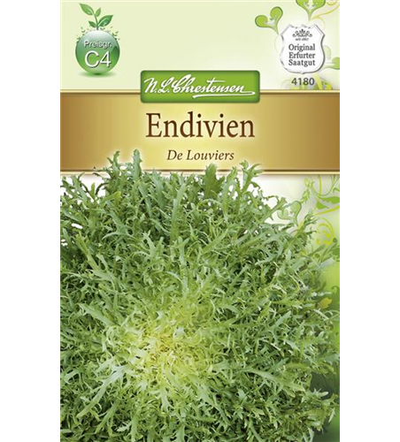 Endiviensamen 'De Louviers' Endiviensamen 'De Louviers'