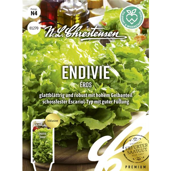 Endiviensamen 'Eros' Endiviensamen 'Eros'