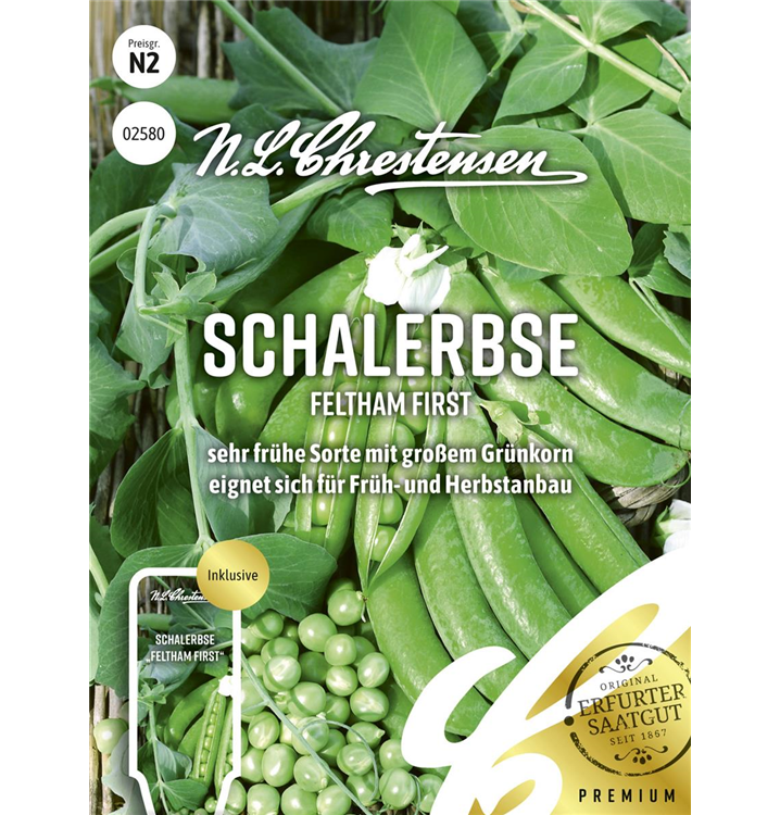 Pisum sativum 'Feltham First'