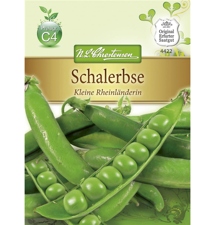 Pisum sativum 'Kleine Rheinländerin'