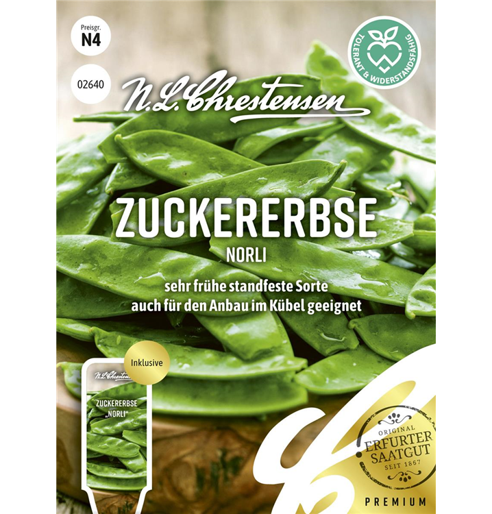 Pisum sativum 'Norli'