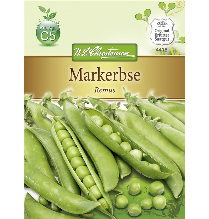 Pisum sativum 'Remus'