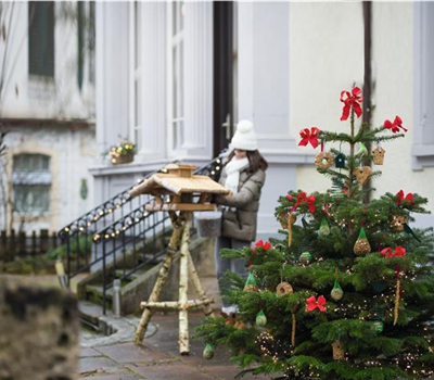 Allgemeine Gartenarbeit im Dezember