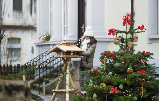 Allgemeine Gartenarbeit im Dezember