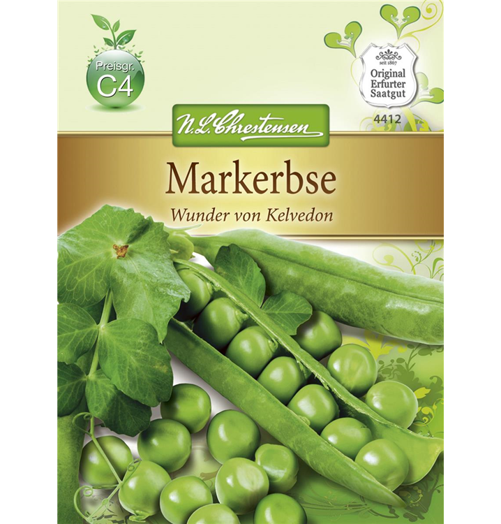 Pisum sativum 'Wunder von Kelvedon'