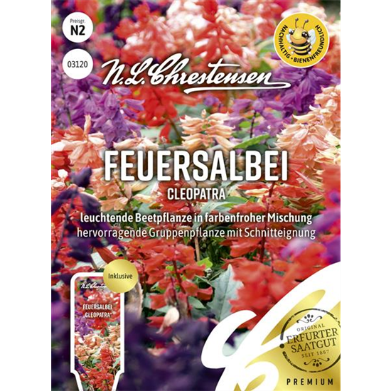 Feuersalbeisamen 'Cleopatra'