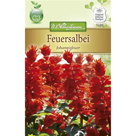 Feuersalbeisamen 'Johannisfeuer'