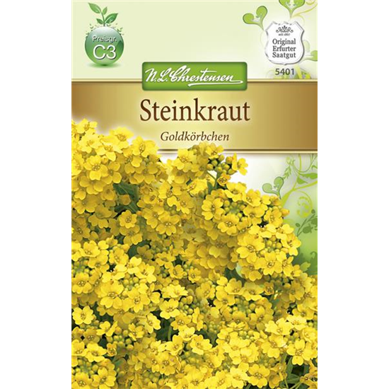 Felsen-Steinkraut-Samen 'Compactum'