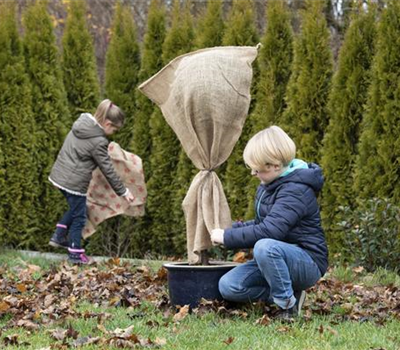 Allgemeine Gartenarbeit im November