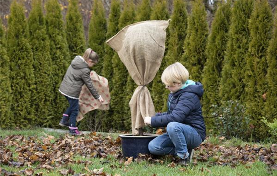 Allgemeine Gartenarbeit im November